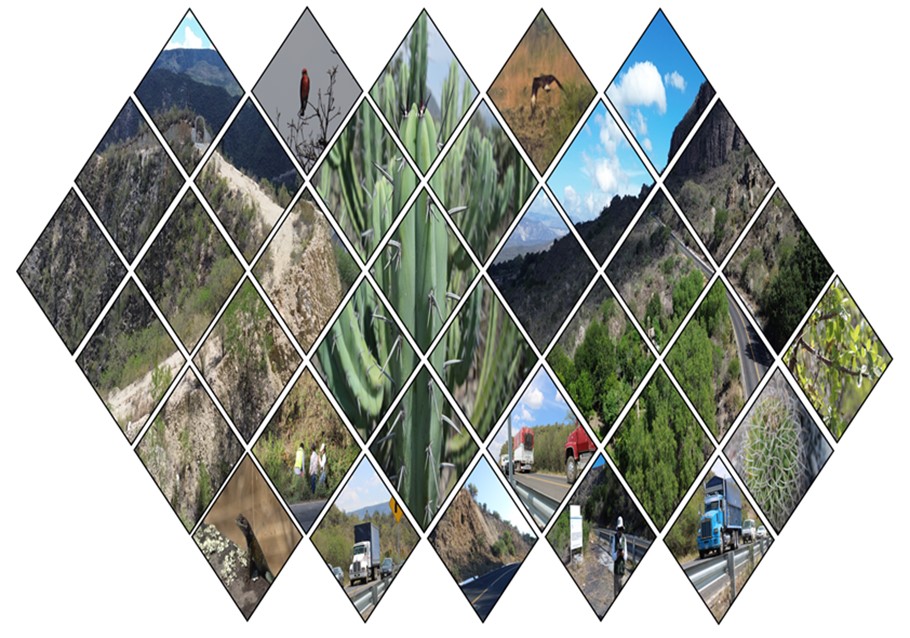 Pachuca – Huehutla