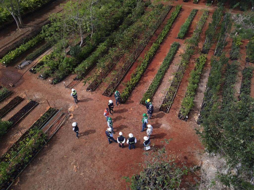 Servicios Ambientales